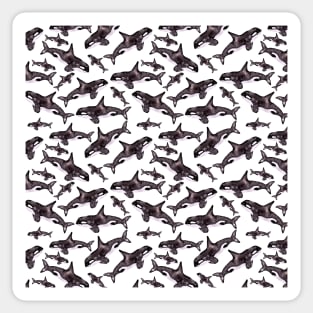 Watercolor Orca Whale Pod | Pattern Sticker